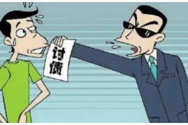 钢城清数公司哪里找？揭秘专业数据服务提供商