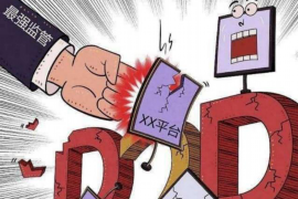 起诉网贷平台恶意催收：维权之路的探索与启示